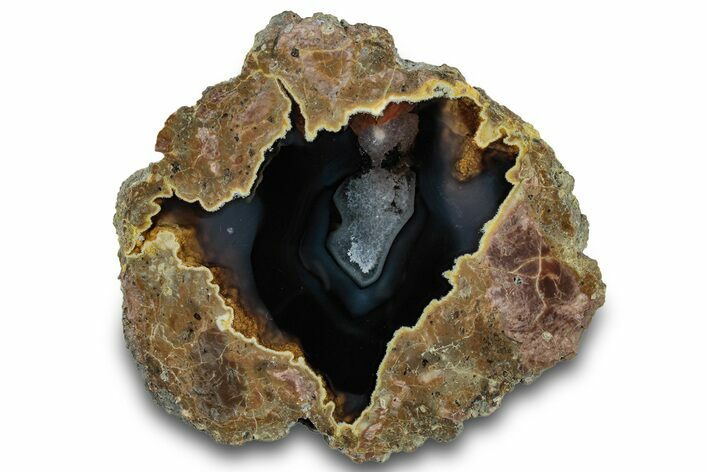 Polished Friend Ranch Thunderegg Half - Oregon #302928